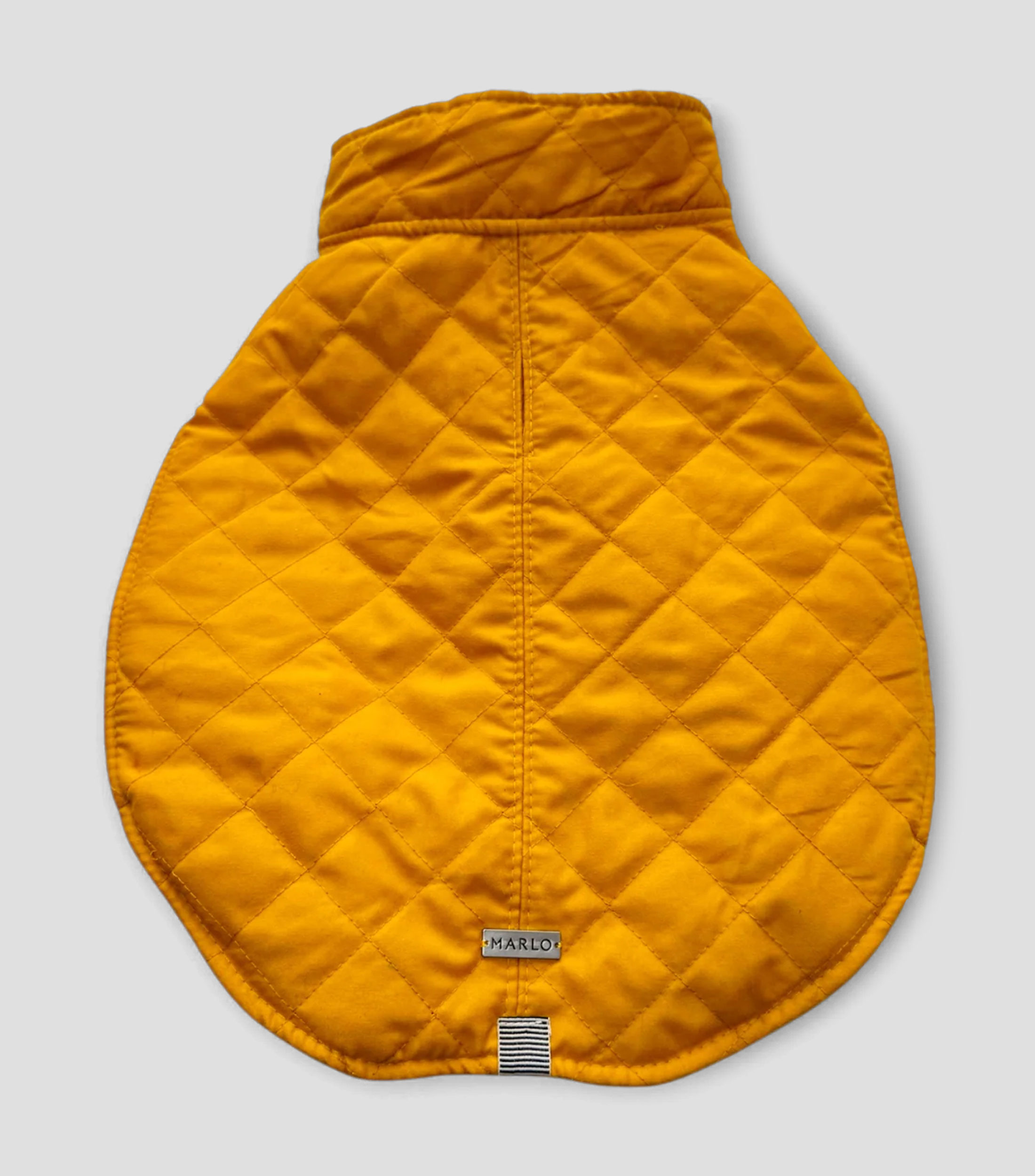 Gabardina para perro, Grande